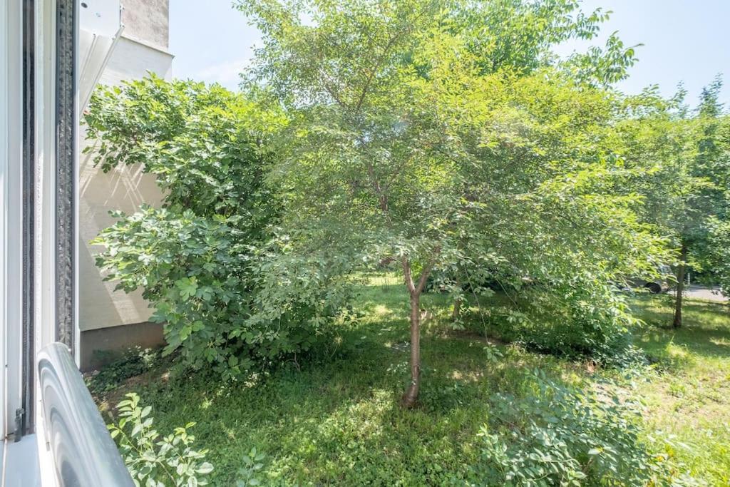 Top Location, Brand New 3 Bdrm Apt & Free Parking Sófia Exterior foto