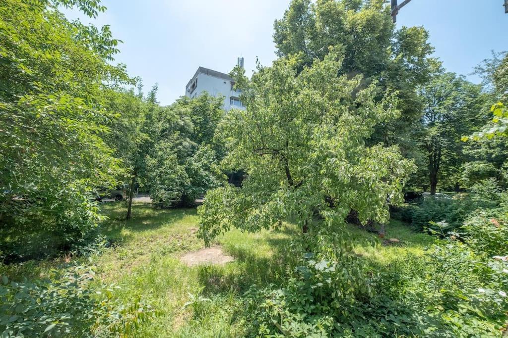 Top Location, Brand New 3 Bdrm Apt & Free Parking Sófia Exterior foto