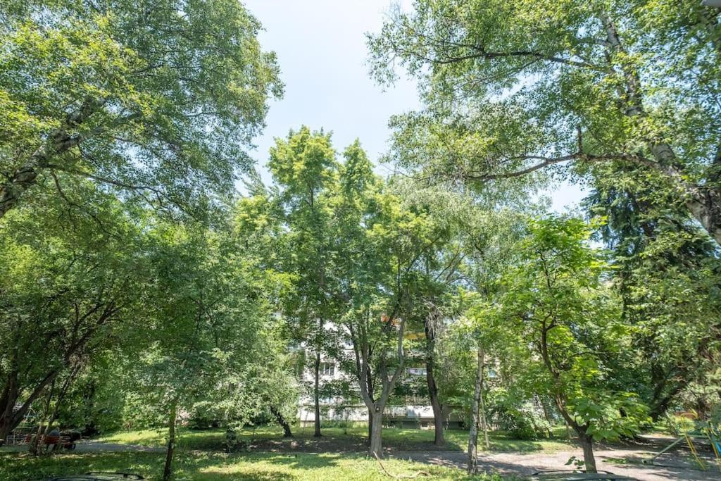 Top Location, Brand New 3 Bdrm Apt & Free Parking Sófia Exterior foto